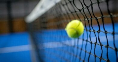 a tennis ball in a net